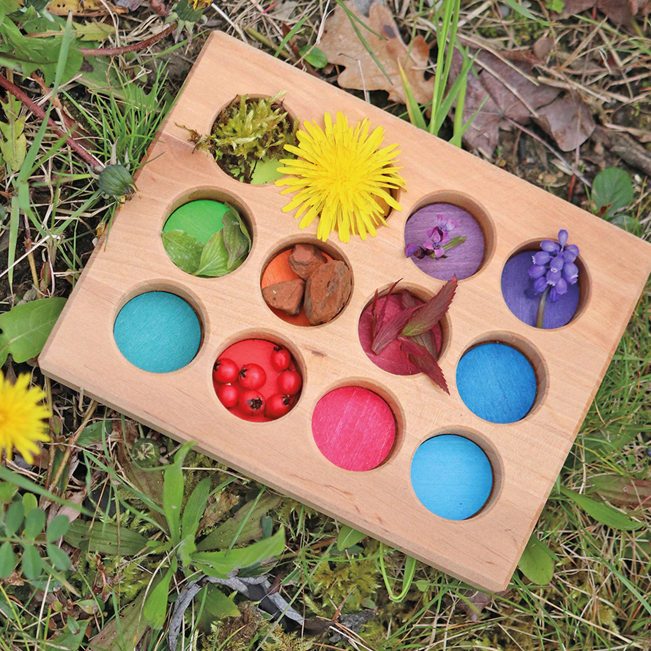 12-Piece Wooden Rainbow Balls in a Tray for Open-Ended Play