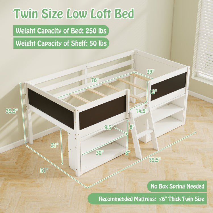 Twin Low Loft Bed with Chalkboards & Bookcases
