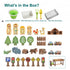 What's in the box infographic for elevated wooden sandbox showing collapsible bucket, water basin tray, shovel, garden fork, wire mesh basket, and wooden toy figures including people, animals, trees, vehicles and road signs