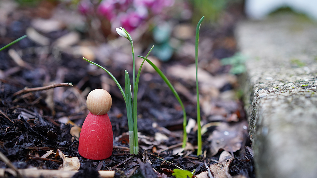 Diverse Wooden Peg Dolls Set