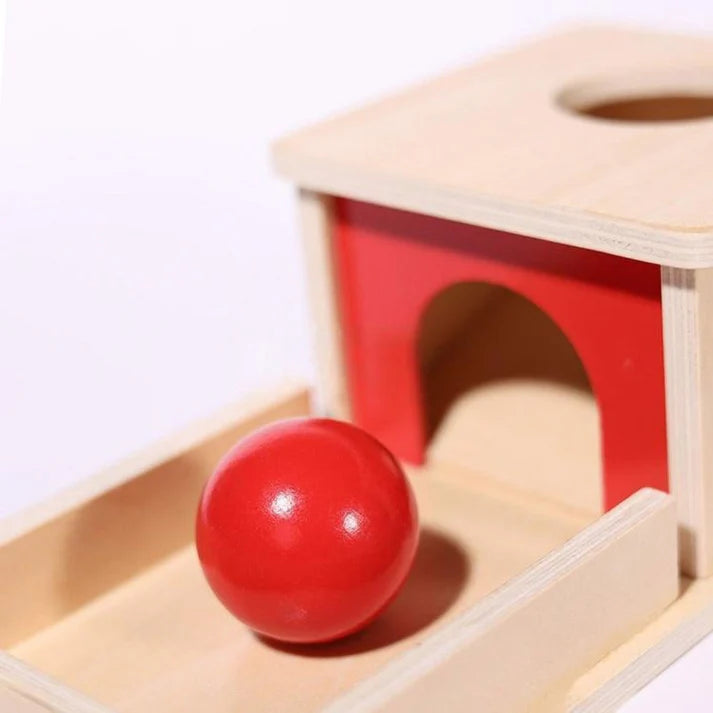 Wooden Object Permanence Box with Ball and Tray